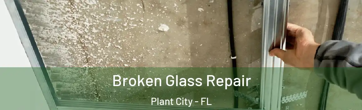  Broken Glass Repair Plant City - FL