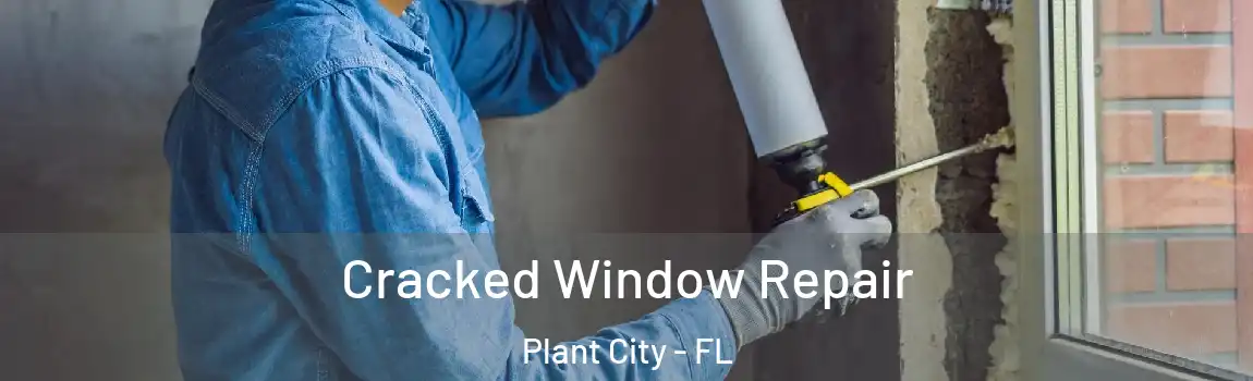  Cracked Window Repair Plant City - FL