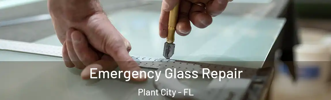  Emergency Glass Repair Plant City - FL