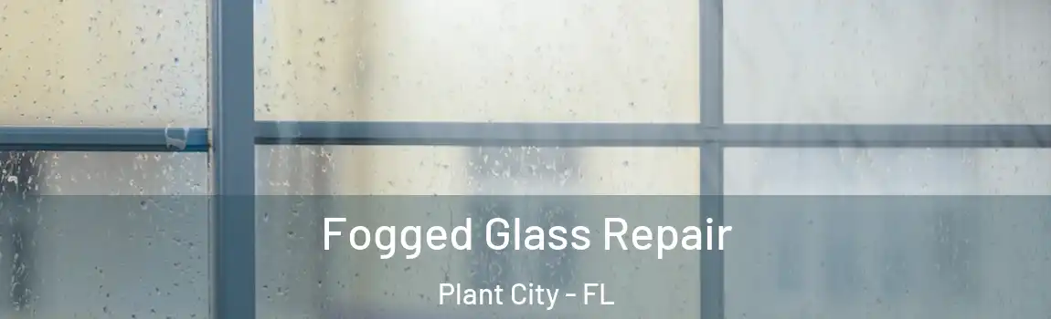  Fogged Glass Repair Plant City - FL