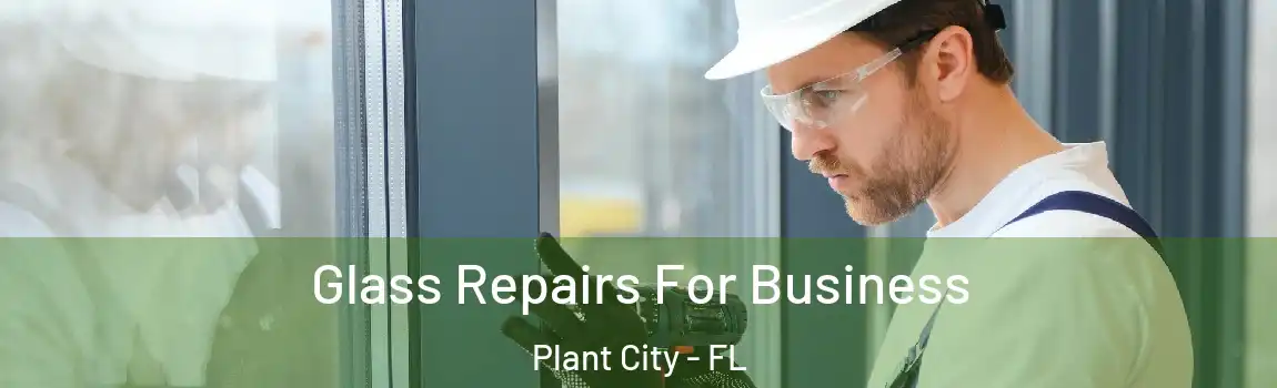  Glass Repairs For Business Plant City - FL