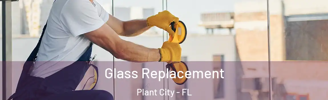  Glass Replacement Plant City - FL