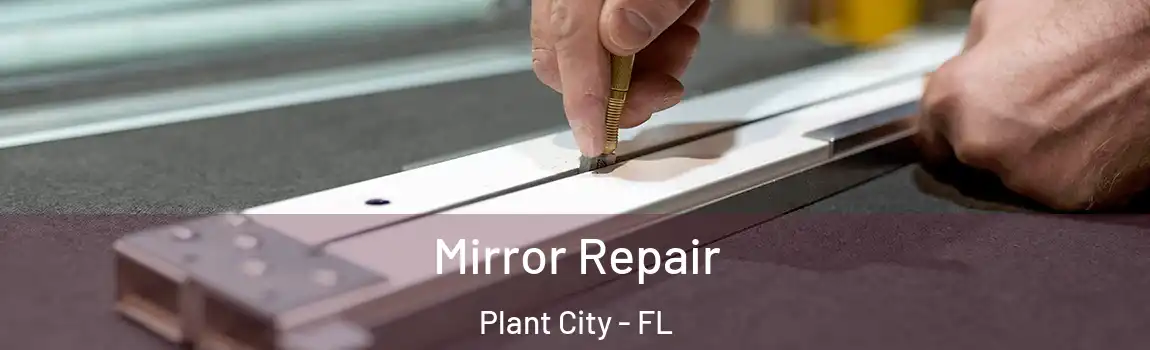  Mirror Repair Plant City - FL