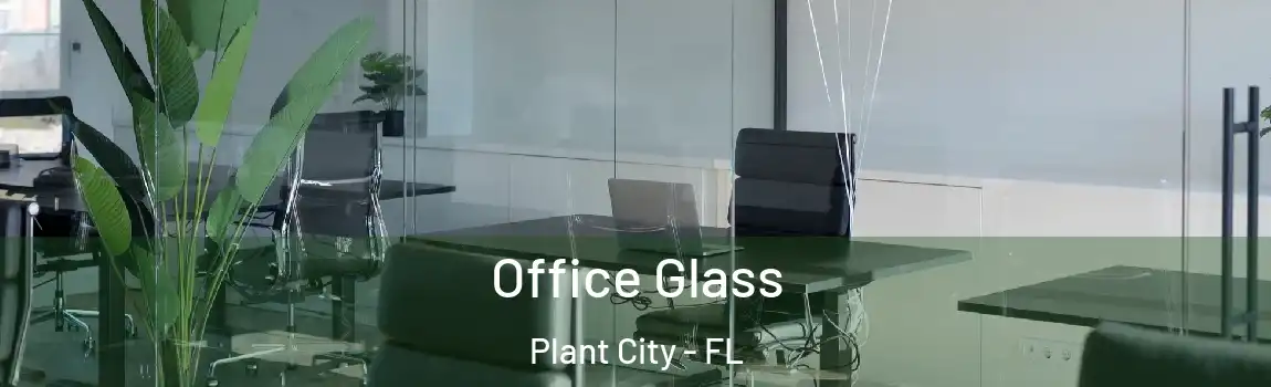  Office Glass Plant City - FL
