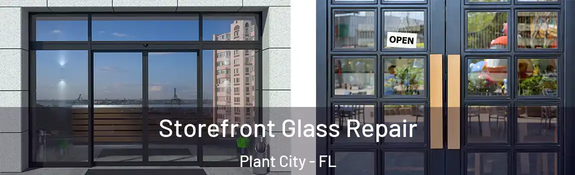  Storefront Glass Repair Plant City - FL