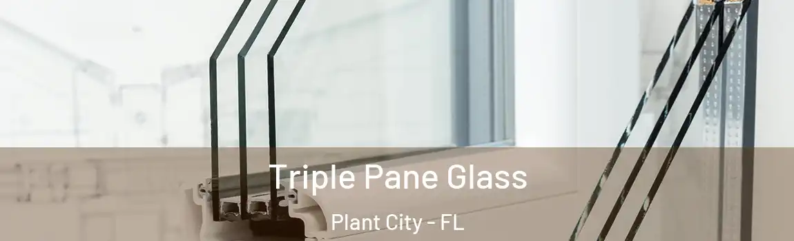  Triple Pane Glass Plant City - FL