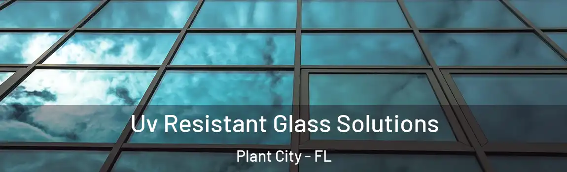  Uv Resistant Glass Solutions Plant City - FL