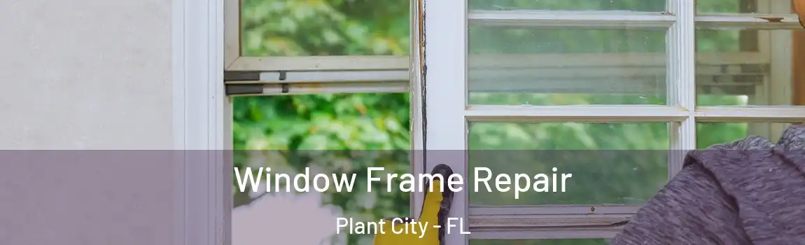  Window Frame Repair Plant City - FL