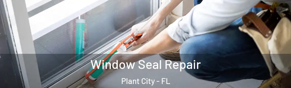  Window Seal Repair Plant City - FL